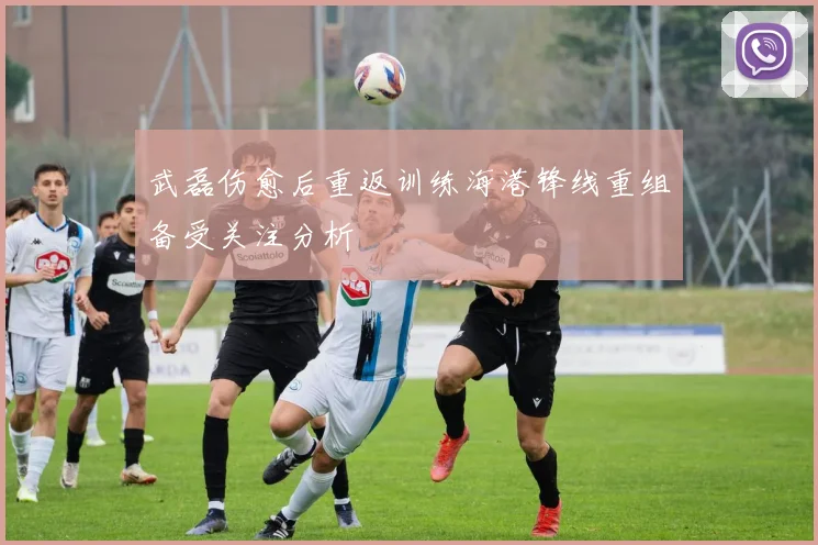 武磊伤愈后重返训练海港锋线重组备受关注分析