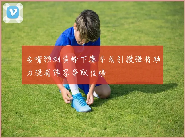 名嘴预测黄蜂下赛季或引援强将助力现有阵容争取佳绩